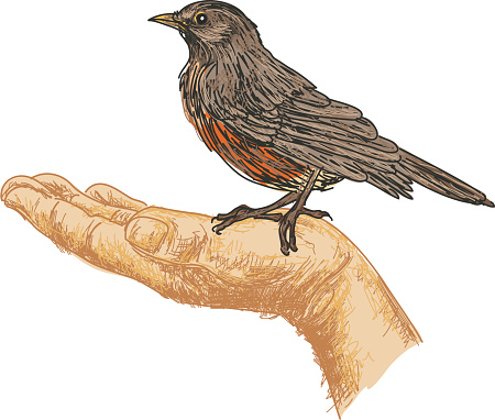 Sketchy Scribbly Style: Bird In The hand is worth two in the bush