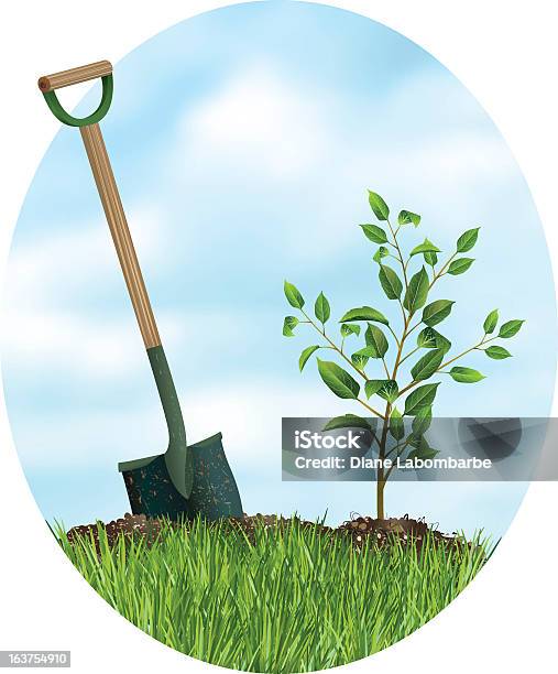 Baum Pflanzen Für Arbor Day Stock Vektor Art und mehr Bilder von Baum - Baum, Graben - Körperliche Aktivität, Gras