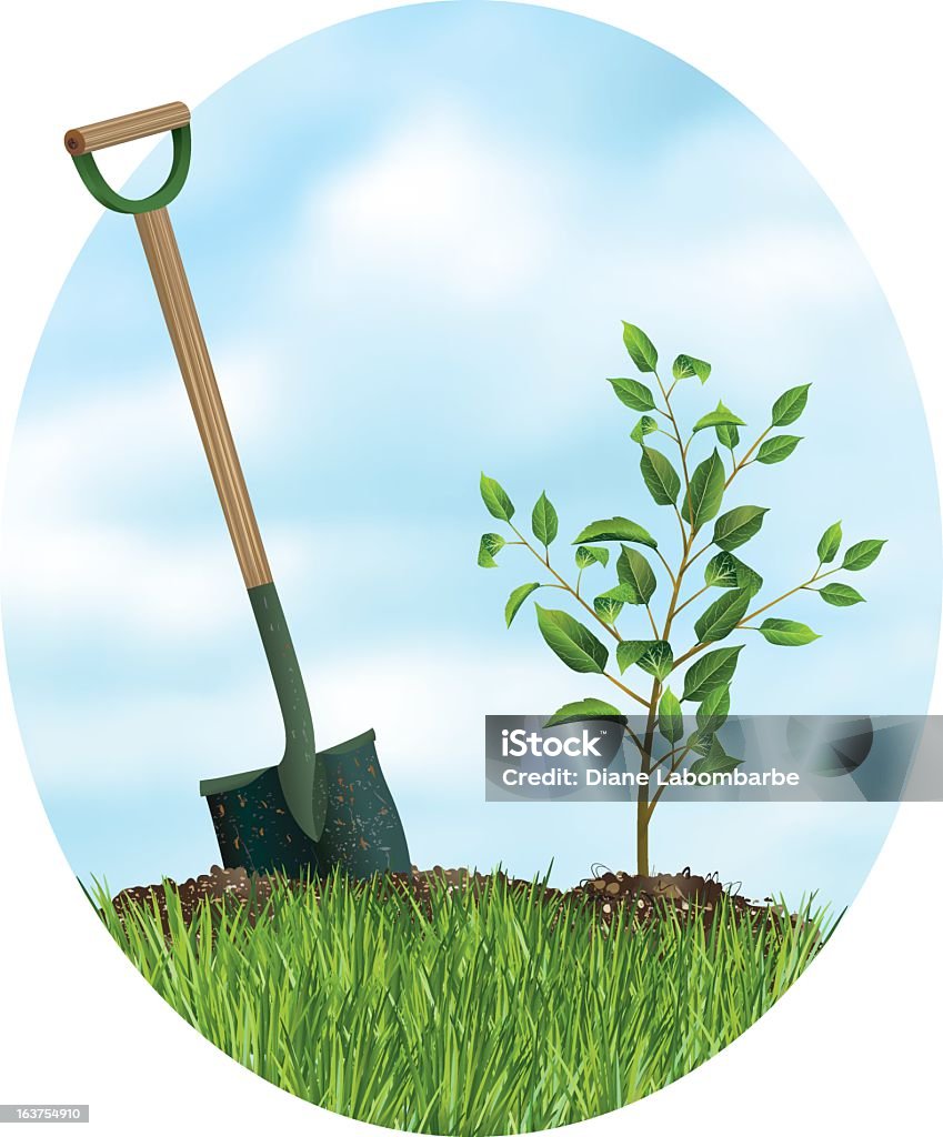 Sadzenie drzewa w Arbor Day - Grafika wektorowa royalty-free (Drzewo)