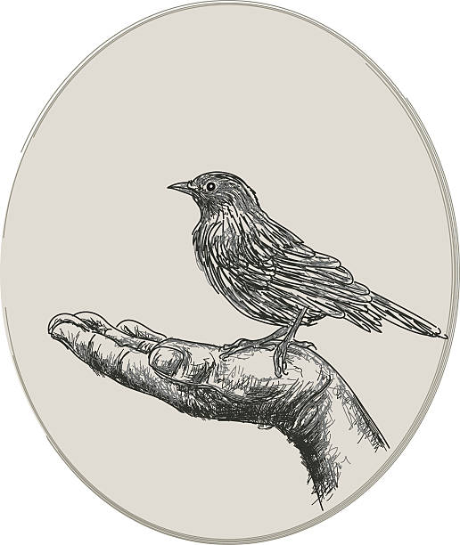 Beter één Vogel In De Hand Dan Tien In De Lucht Illustraties afbeeldingen, beelden en stockfoto Beter één Vogel In De Hand Dan Tien In De Lucht Illustraties afbeeldingen, beelden en stockfoto