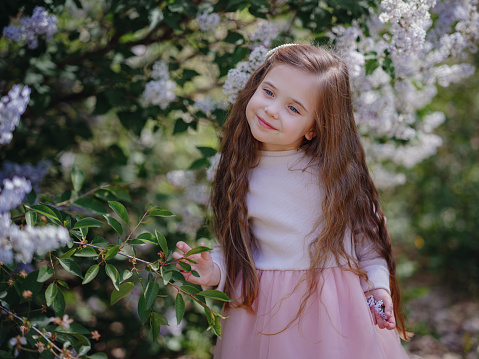 a beautiful little girl in a pink stylish dress walking in a lilac garden. the idea and concept of tenderness and childhood