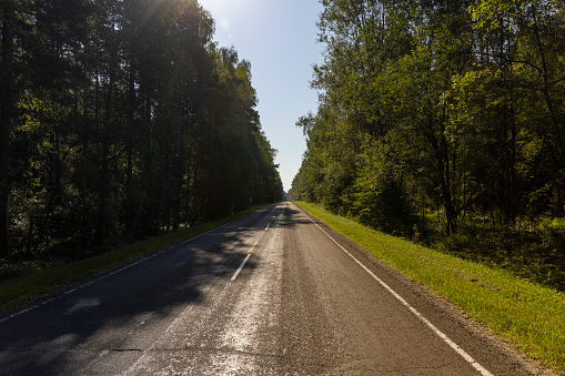 Paved road through the forest, a high-quality road for traffic in rural areas