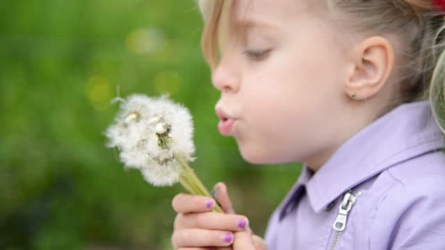 Little Girl Blowing Dandelions