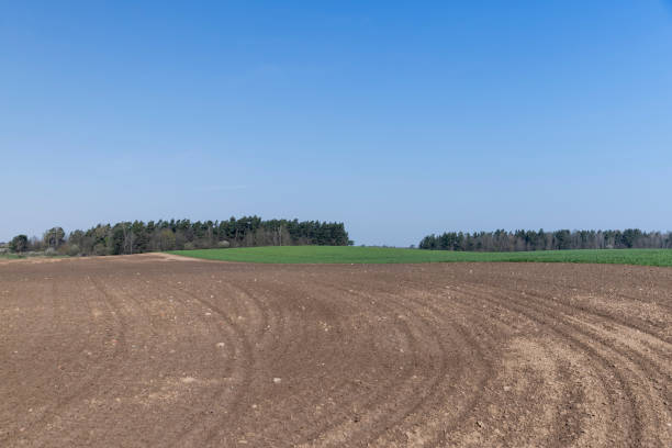 istock the plowed soil during preparation for sowing agricultural plants 1637559820