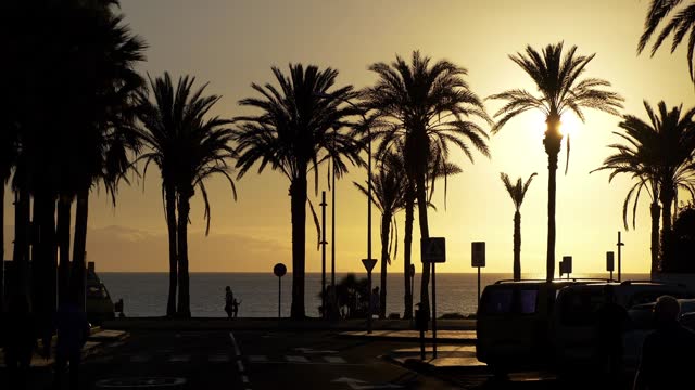 Palm tree-lined promenade illuminated by the warm glow of a Tenerife sunset in 4k slow motion 60fps