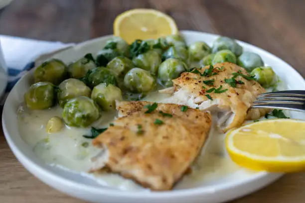 Homemade meal with with fresh pan fried fish fillet and brussels sprouts with bechamel sauce. Served ready to eat on a plate. Closeup, front view