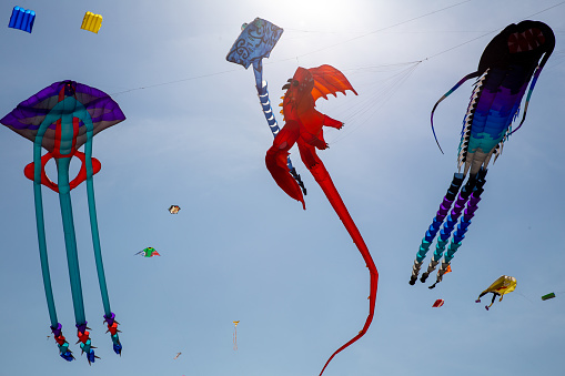 Kites in the air at a festival