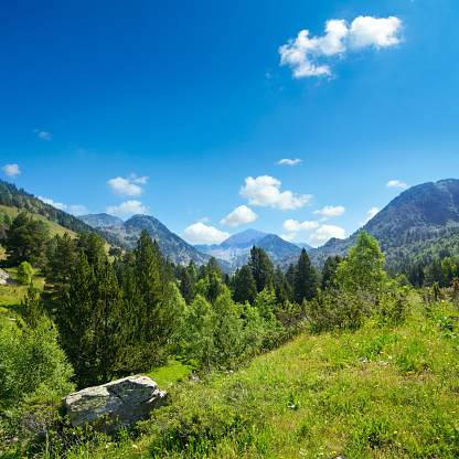 Mountain landscape with green grass and flowers. Andorra, Pyrenees.