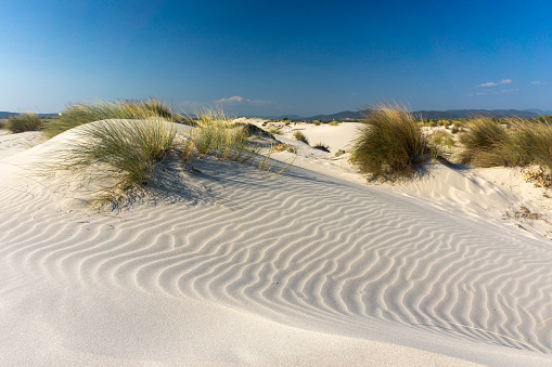 Textured desert dunes at sunrise from above
