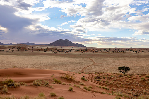Desert landscape in the Namib Rand Nature Reserve, Namibia