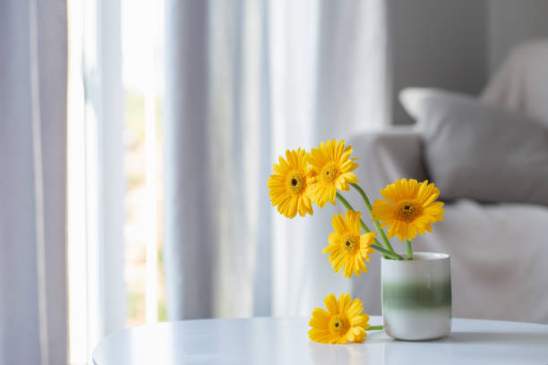 yellow gerbera in ceramic vase in light living room