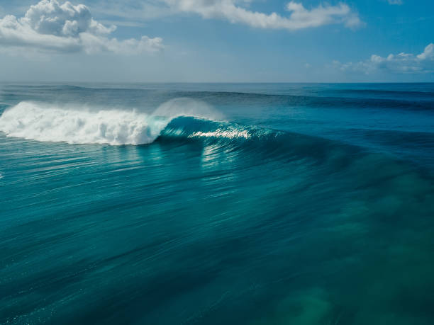 istock Perfect glassy wave with barrel in blue ocean. Aerial view 1637782420