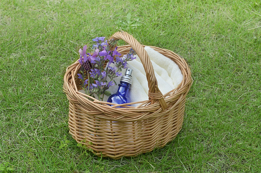 Spray Bottle & Bunch of Herb Flowers in the Basket