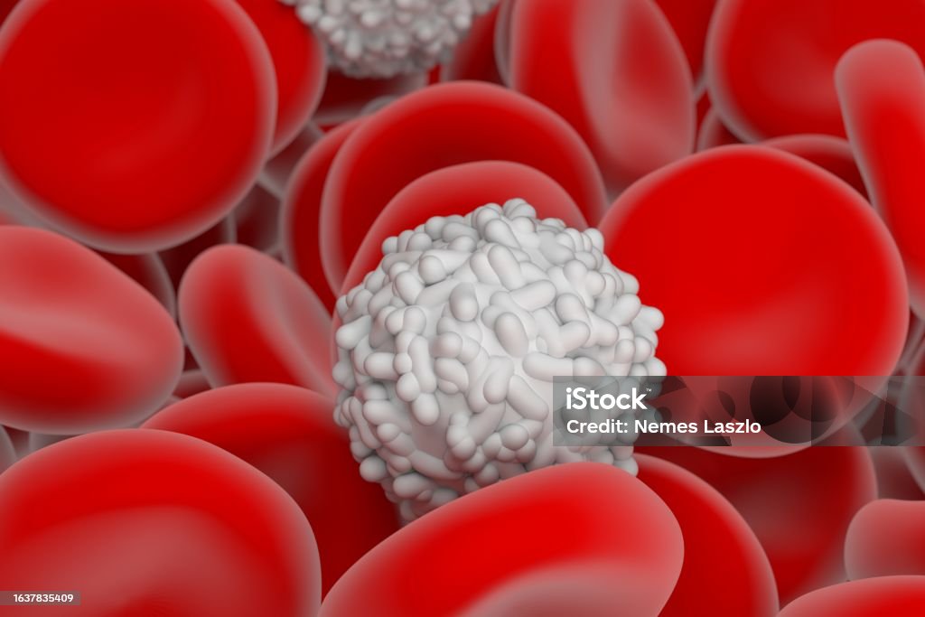 Red And White Blood Cell In The Human System 3d Illustration Closeup ... Biology Diagrams