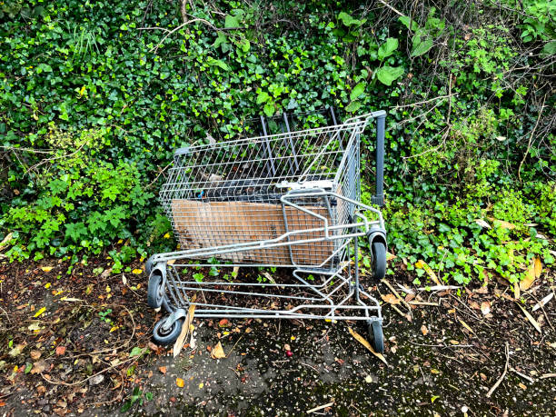 istock Abandoned shopping trolley 1637838628