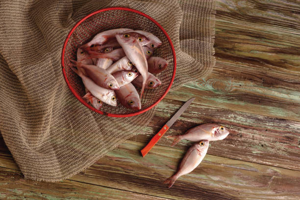 Fresh fish (Pagellus erythrinus) on a wooden background