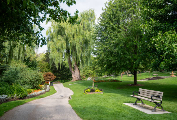 istock Pathway in the park, trees and park bench 1637850558