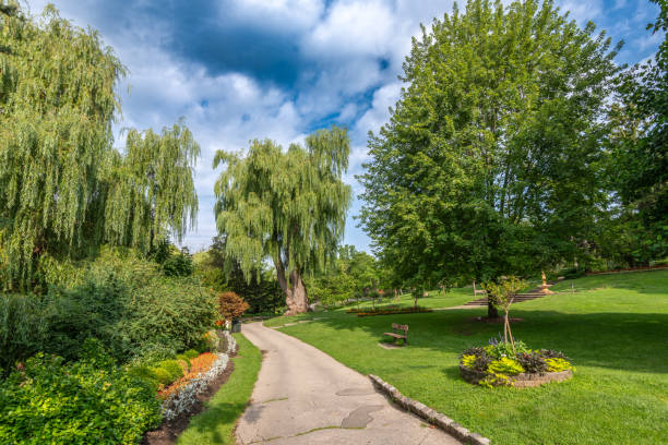 istock Walkway in the park, trees and flowers 1637854472