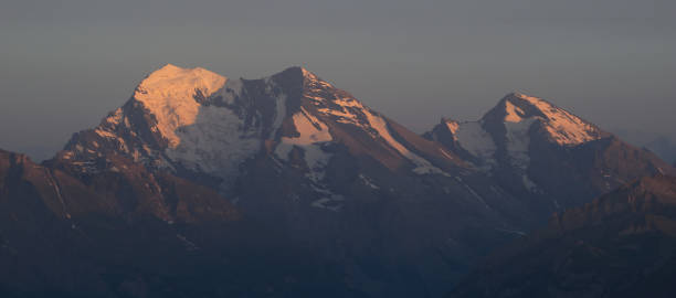 balmhorn e rinderhorn al tramonto, svizzera. - rinderhorn foto e immagini stock