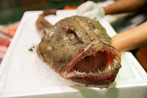 Fresh monkfish on the counter on the fish market.