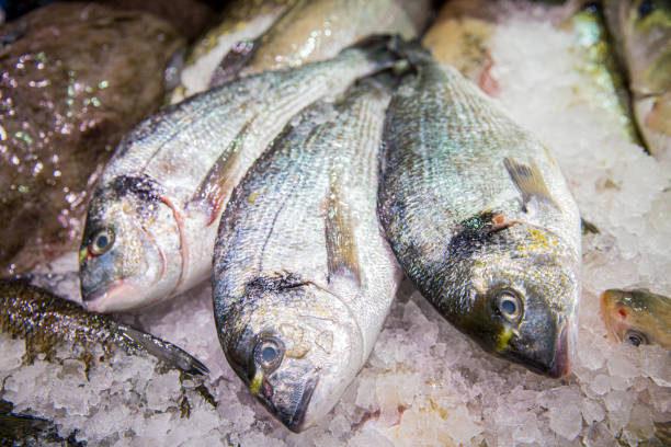 Gilt-head bream (dorade) on ice at the seafood booth at the fish market