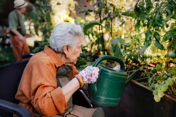 Portrait d’une femme âgée s’occupant de plantes potagères dans un jardin urbain. - Photo