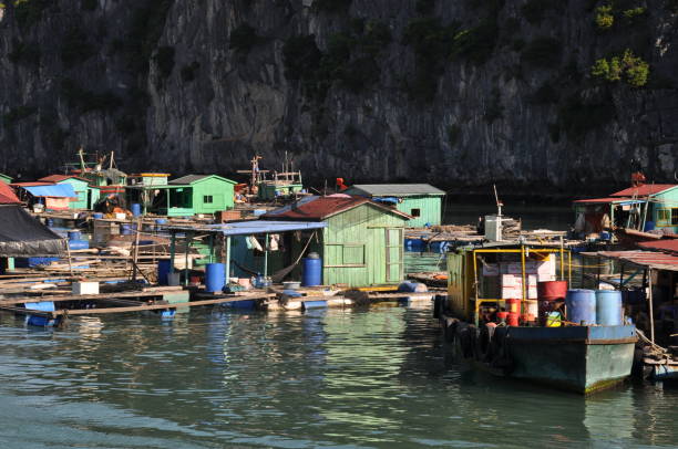 istock Floating village in Ha Long Bay, Vietnam 1637956853
