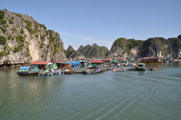 istock Floating village in Ha Long Bay, Vietnam 1637956854