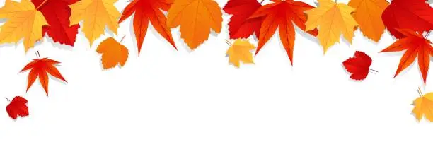 Vector illustration of Autumn leaves background. Template design for poster, banner, flyer, card. Vector