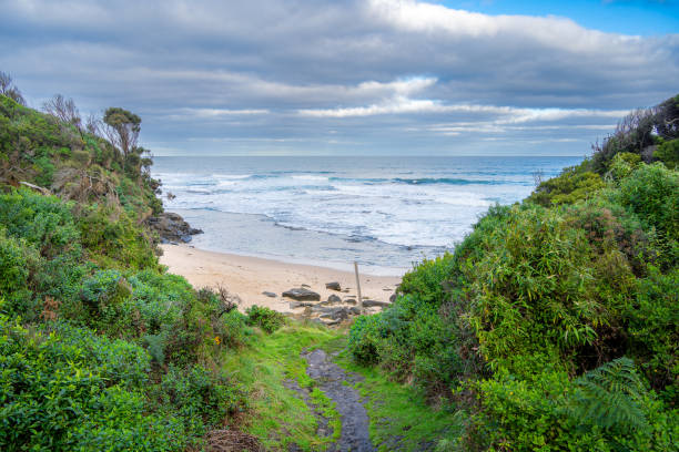 istock Great Otway National Park, Australia 1637966788