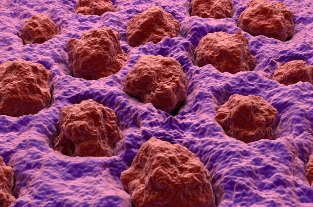 istock Human tongue surface (mucosa with papillae) - isometric view 3d illustration 1638005724