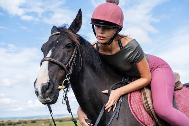 istock Horse and rider bonding 1638053164