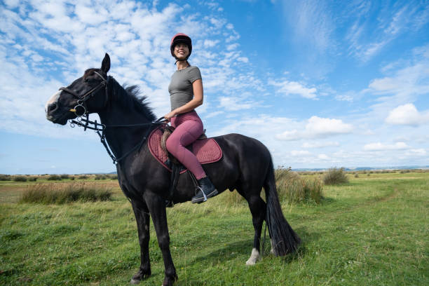 istock Horse and rider 1638055358