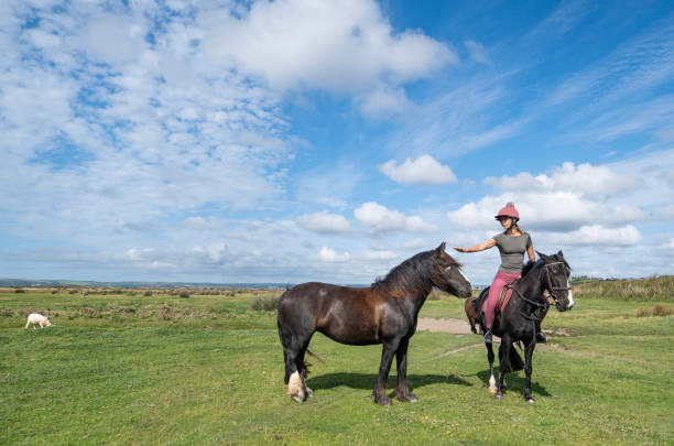 istock Horse riding in sunshine 1638056492