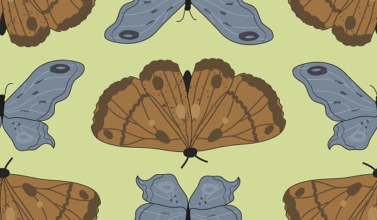 Seamless pattern of beautiful blue and brown moths on lime green background. Elegant hand drawn surface design of repeat butterfly grid.