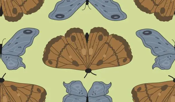 Vector illustration of Endless pattern of hand drawn blue and brown moths on lime green background.