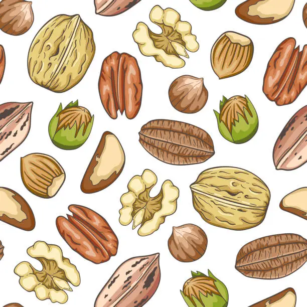 Vector illustration of Pattern with walnut, pecan and hazelnuts.