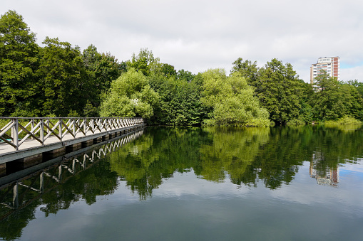 A pond in a city park in the city of Nysa, in the south of Poland.