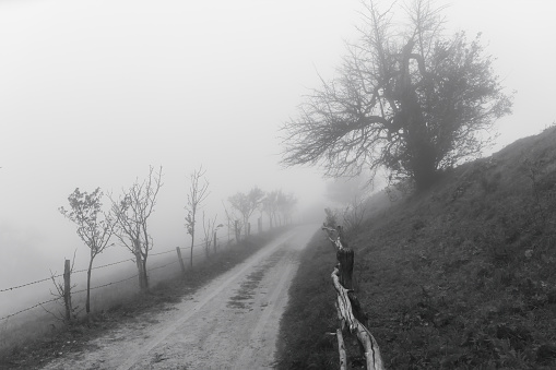Mysterious creepy countryside pathway with a scary vibe