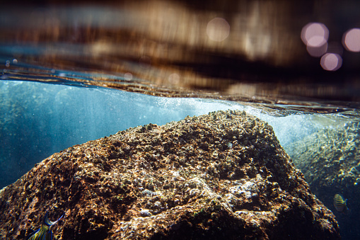 A rock formation underwater, covered in green algae and having a rough texture. The water is a deep blue and is clear enough to see through. The top of the image shows the water’s surface and the sunlight shining through, creating a beautiful contrast. The background consists of more rocks, adding some depth to the scene. The image has a bokeh effect, with the background being slightly out of focus, drawing attention to the main subject.