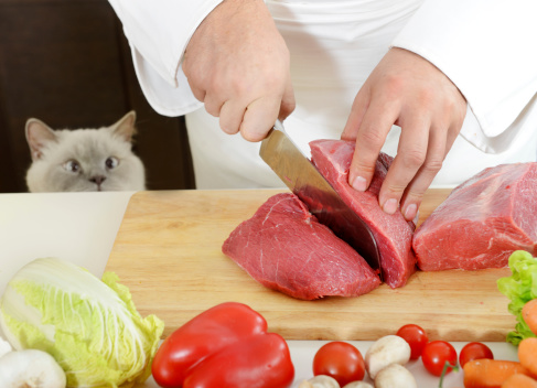 Cat and Chef