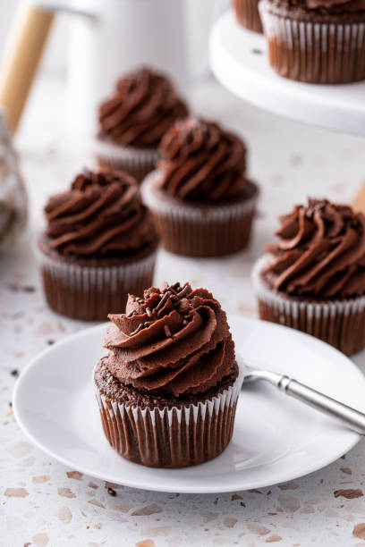 istock Chocolate cupcakes with dark chocolate frosting and sprinkles 1638099253