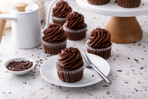 Chocolate cupcakes with dark chocolate whipped ganache frosting and chocolate sprinkles