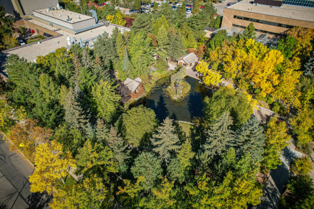 aerial of the university of saskatchewan in saskatoon - saskatoon saskatchewan university canada imagens e fotografias de stock
