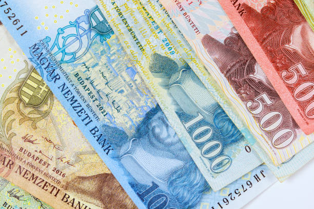 istock Close-up unique design and artwork featured on Hungarian forints, available in various denominations. 1638123762