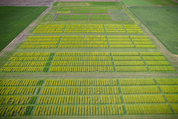 aerial of the university of saskatchewan lands management area in saskatoon - saskatoon saskatchewan university canada imagens e fotografias de stock