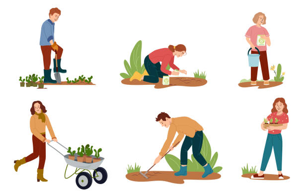 illustrations, cliparts, dessins animés et icônes de définir des personnages plats vectoriels d’hommes, de femmes, d’enfants effectuant des travaux de jardinage faire des travaux de jardin d’agrément arroser, planter, biner, organiser concept de jardinage printanier avec des outils - concepts and ideas nature plants transportation