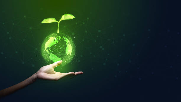 istock Plant sprouts growing with earth on palm hand. 1638141103