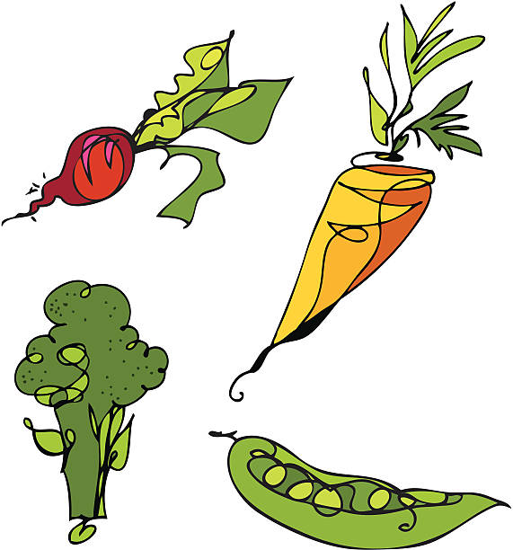 Verduras frescas del jardín - ilustración de arte vectorial