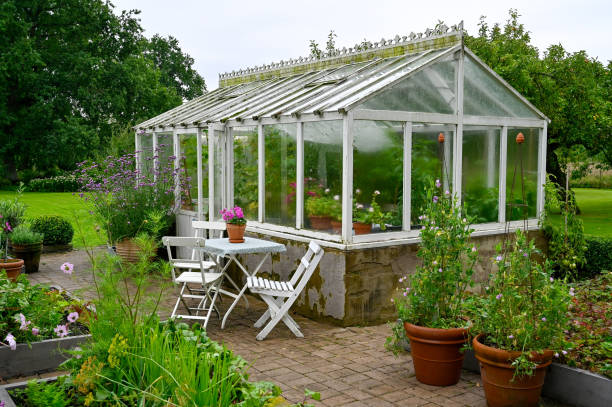 small greenhouse in the garden